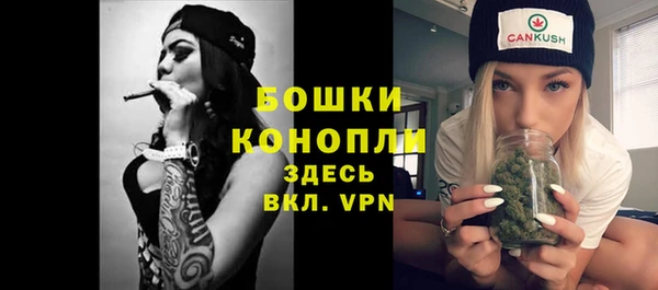 дмт Липки