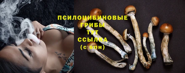 а пвп мука Магадан